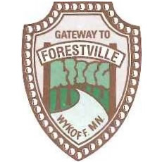 Lead Service Inspection